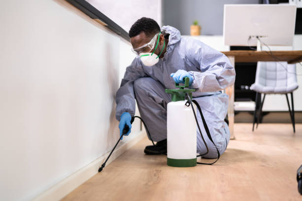 Emergency Pest Control Services in Cisco, TX